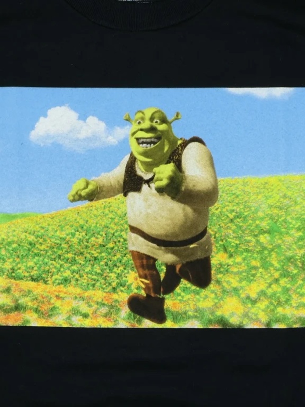 Dreamworks Shrek Men's Shrek Yourself Before You Wreck Yourself T-Shirt, Blk, S - Picture 2 of 4